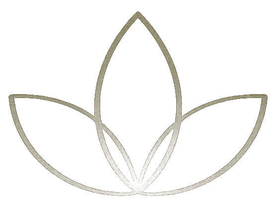 Zenfuse